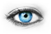 Schönes blaues Auge